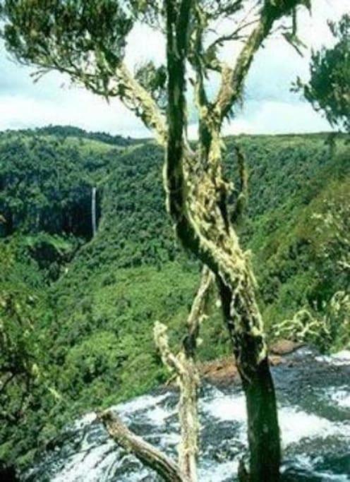 Maverick Camp, Rondavels And Homestay Nyandarua Exterior foto